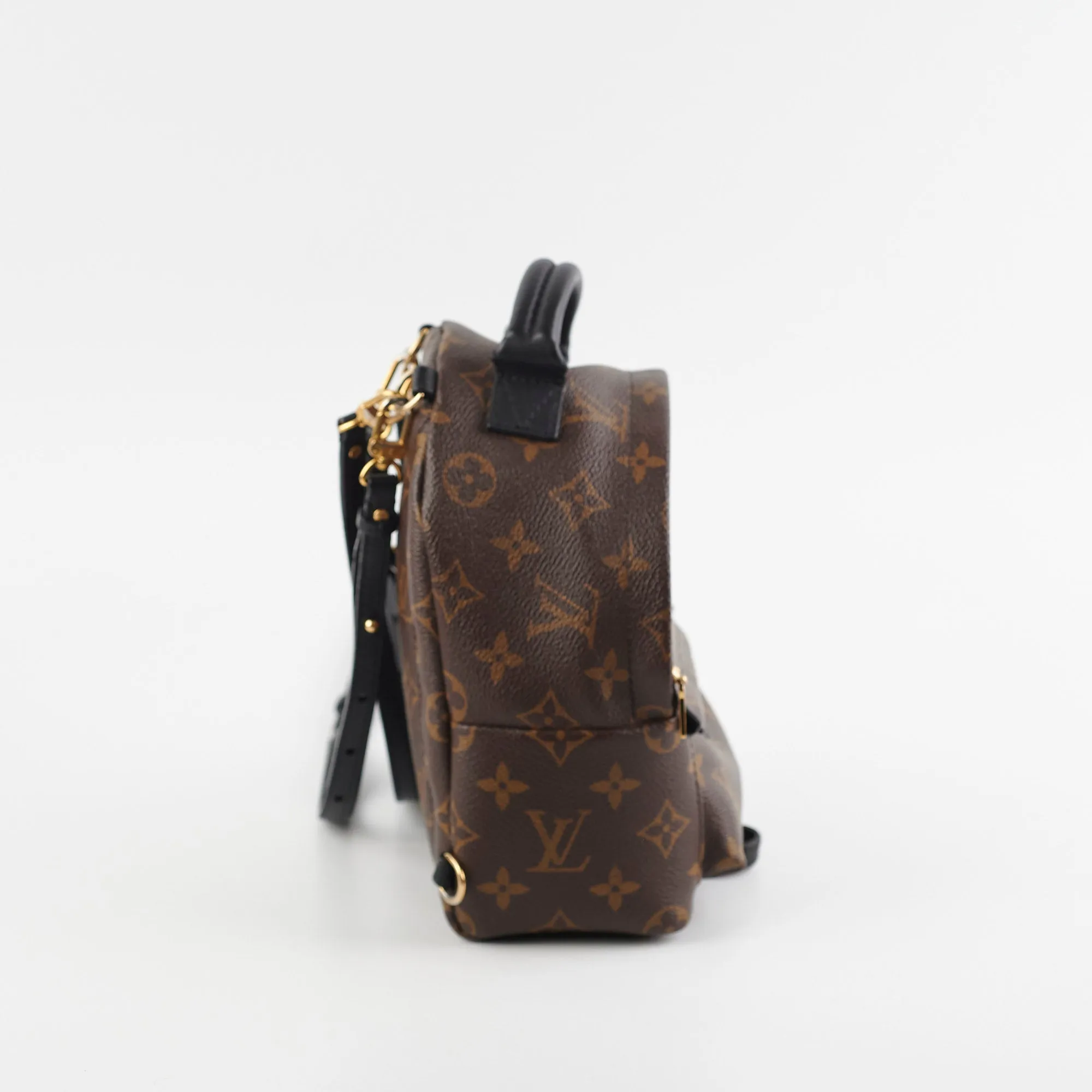 Louis Vuitton Palm Springs Mini Monogram Backpack
