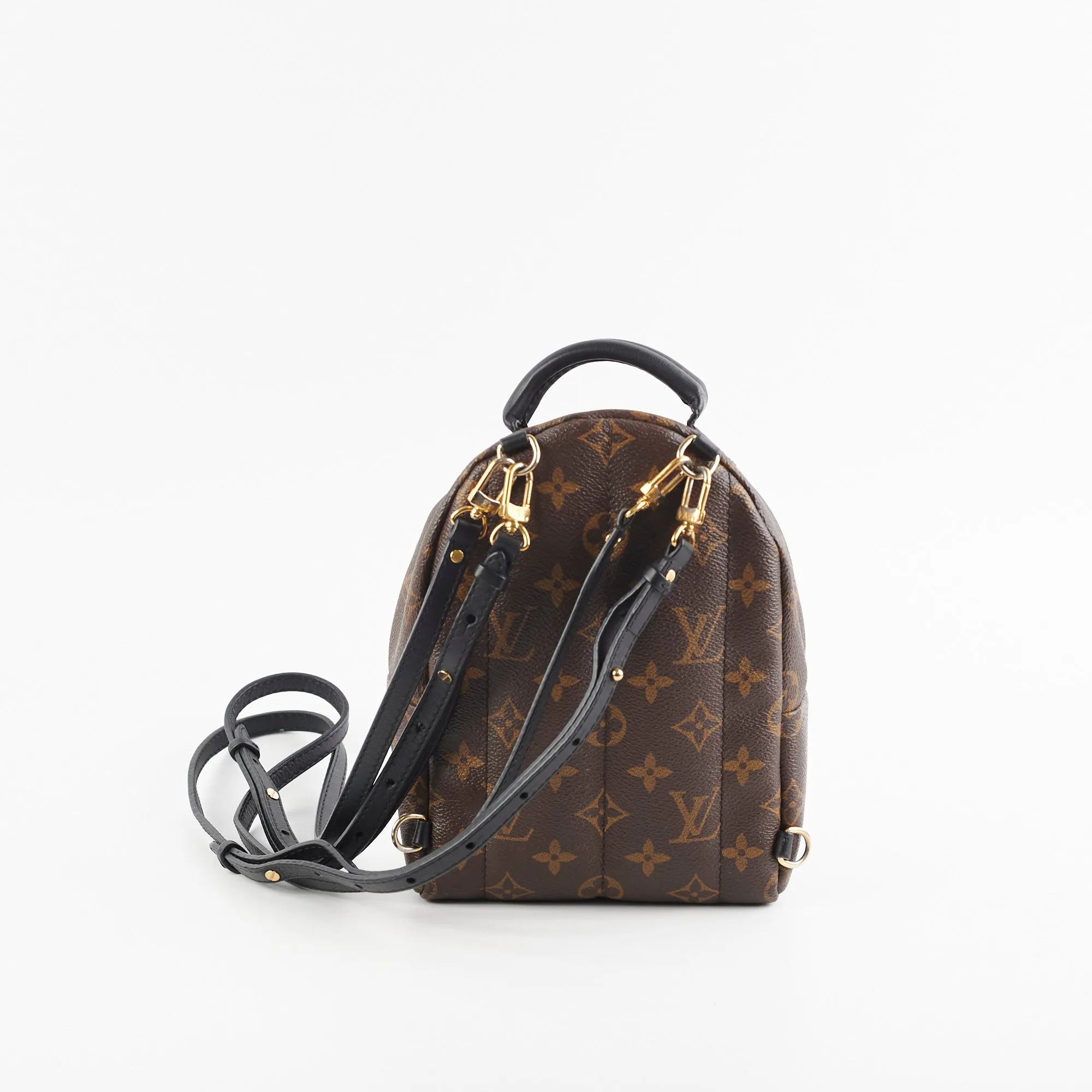 Louis Vuitton Palm Springs Mini Monogram Backpack