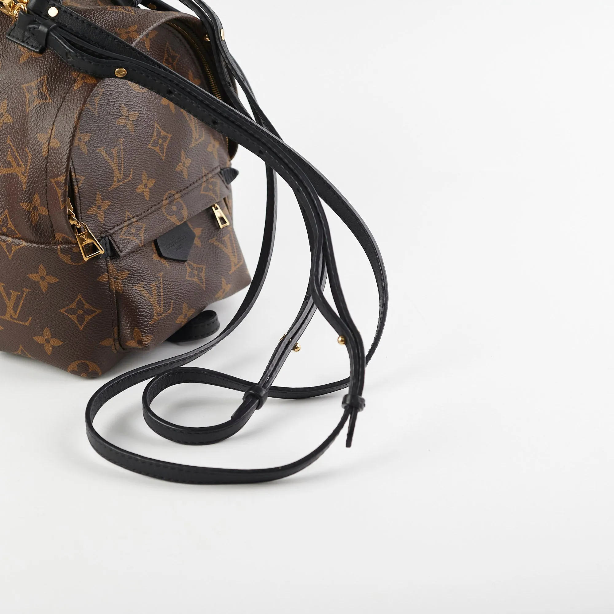 Louis Vuitton Palm Springs Mini Monogram Backpack